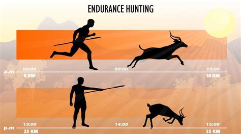 humans persistence hunting
